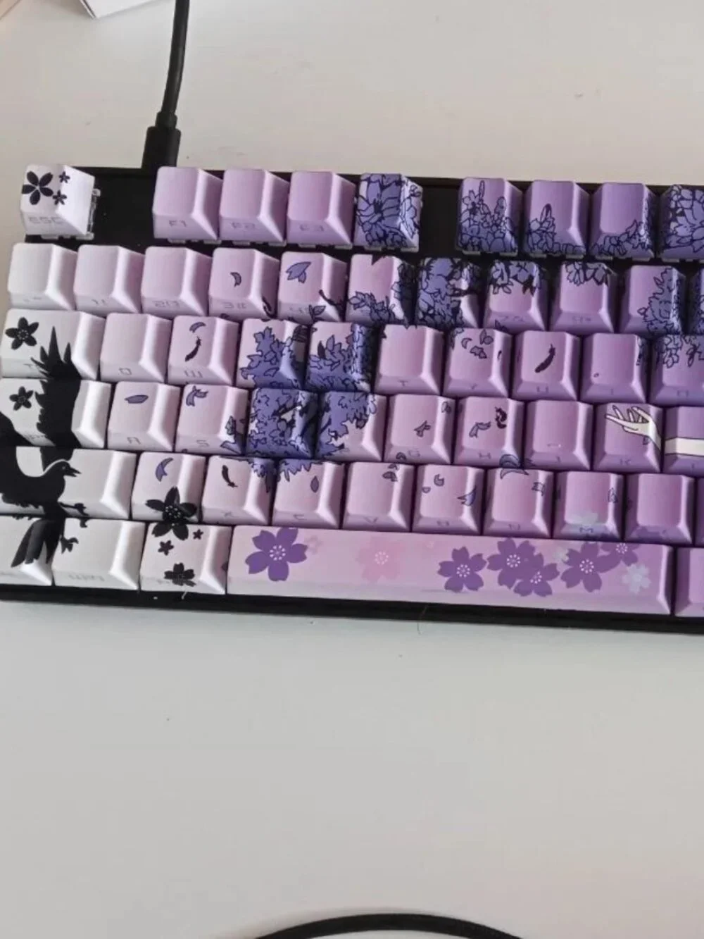 Steelseries Apex Pro GEN3 TKL Wireless